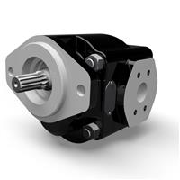 Cast Iron Pumps - Series PGP640